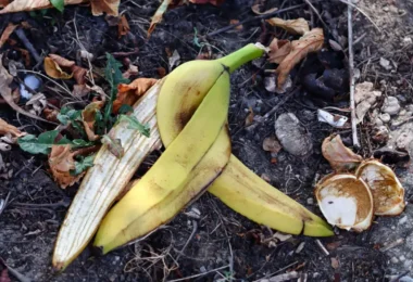 15 Astuces Incroyables Qui Vont Changer Votre Vie!