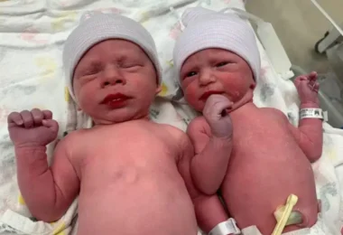 Des jumeaux record nés à partir d'embryons gelés depuis 30 ans. leur mère n'a que 3 ans de plus qu'eux.