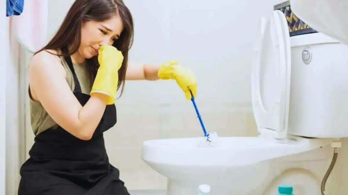 7 astuces pour parfumer les toilettes