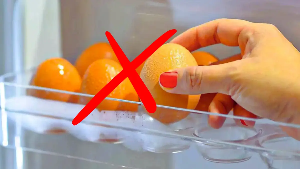 Pourquoi les œufs ne doivent pas être conservés au réfrigérateur ?