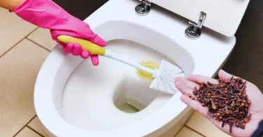 Pourquoi utiliser des clous de girofle dans les toilettes ?