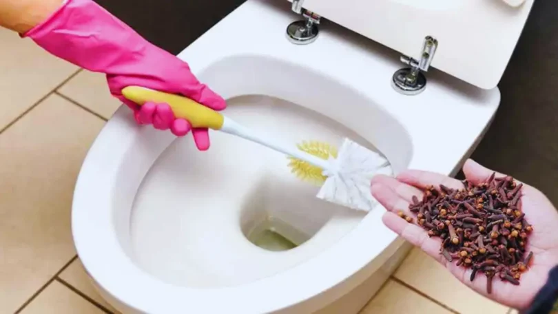 Pourquoi utiliser des clous de girofle dans les toilettes ?