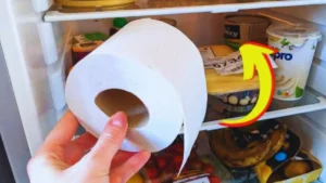 Pourquoi mettre du papier toilette au frigo ?