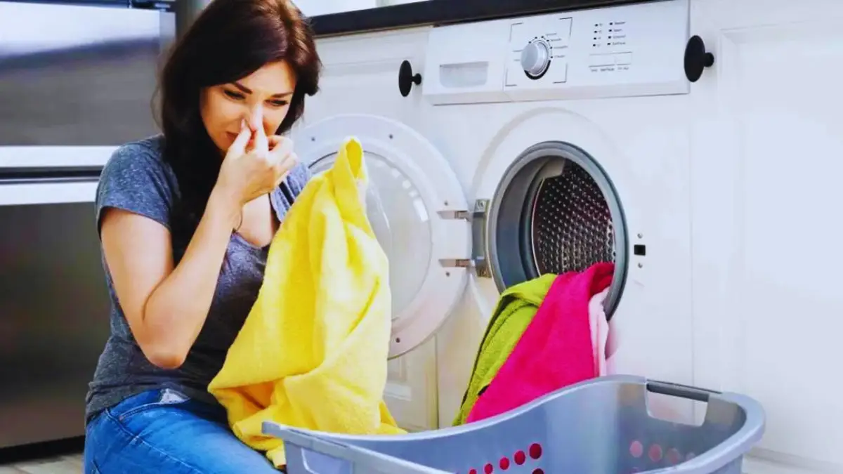 Pourquoi le linge sent-il mauvais même après lavage ? 5 remèdes naturels pour qu’il soit toujours parfumé