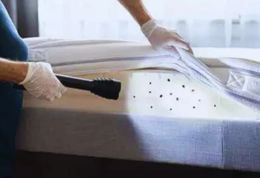 3 odeurs répulsives pour faire fuir les punaises de lit de chez vous