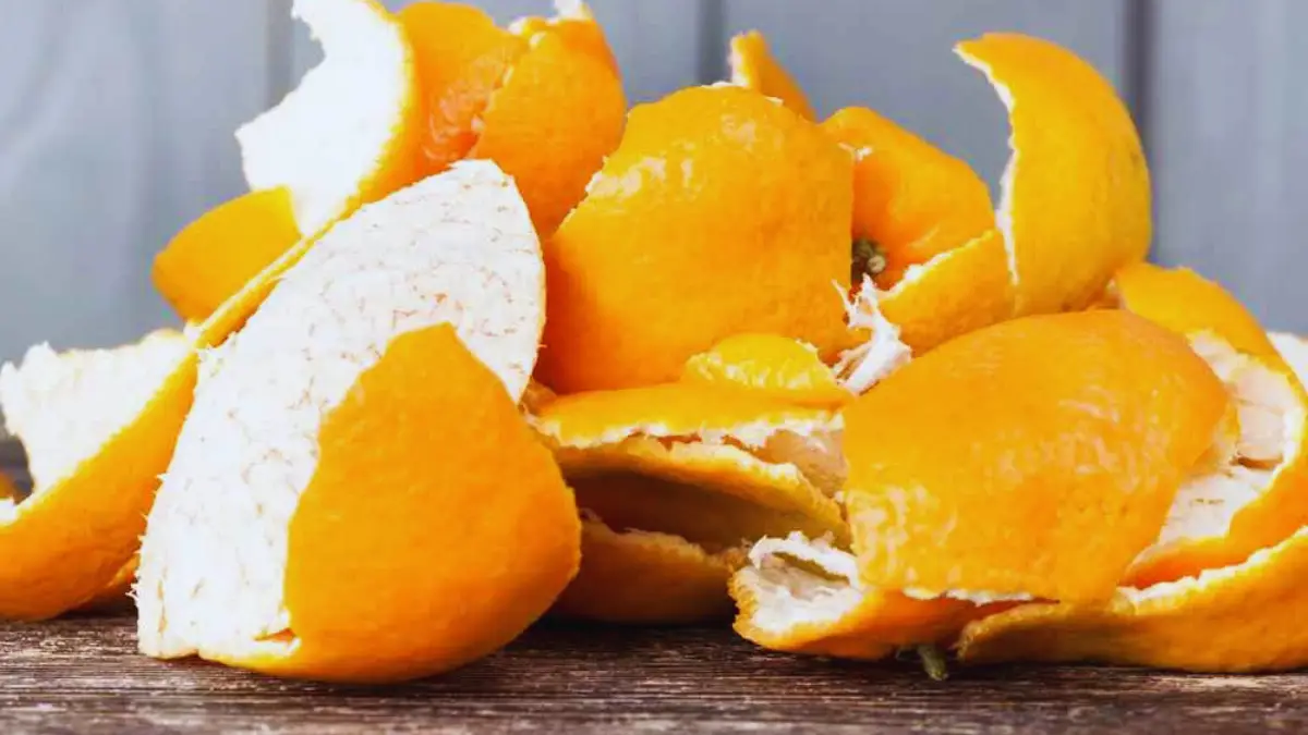 La Magie des Pelures d'Orange dans une Bouteille : Astuce d'Économie Inattendue !