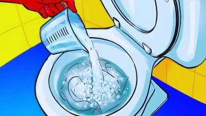 L'astuce de mon plombier pour nettoyer les WC : fini les mauvaises odeurs