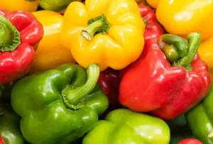 Comment cultiver des poivrons à la maison : le secret pour une production abondante